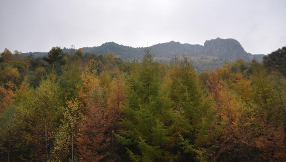 汉中紫柏山